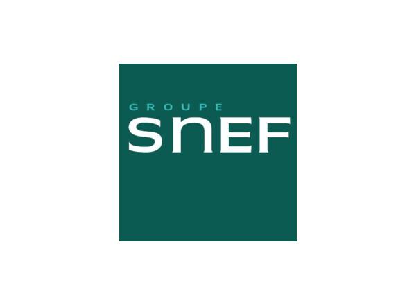 Groupe SNEF
